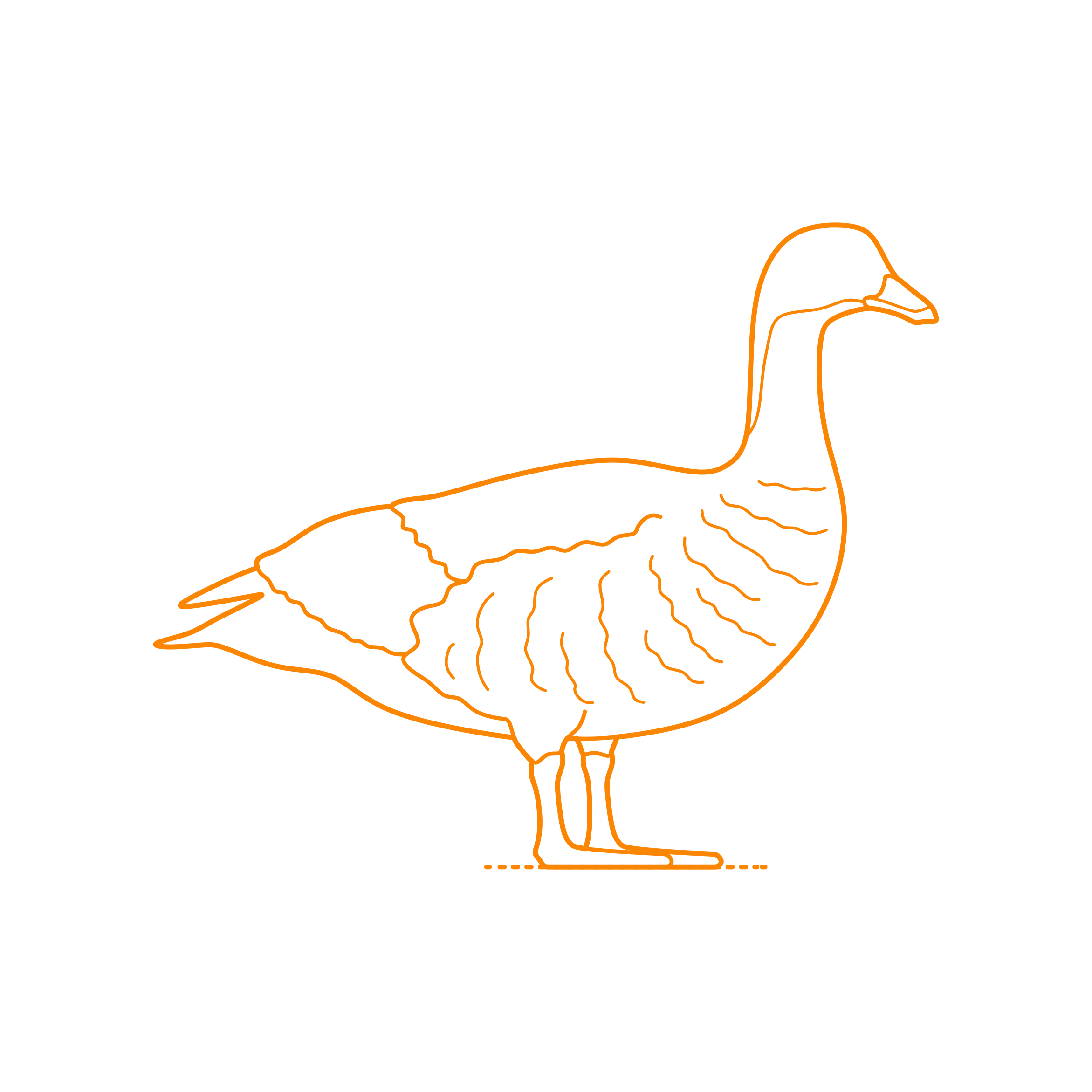 Animals Waterfowl Emperor Goose Line Art Svg Vector Free Vectors